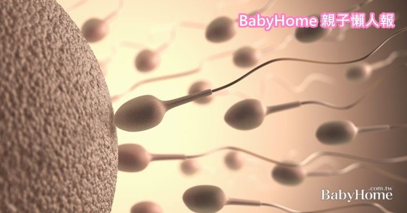精子向前衝！精蟲如何補？男性助孕好方法看這裡！ 